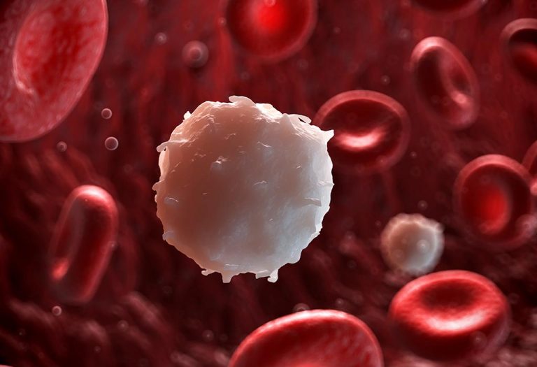 المعدل الطبيعي لكريات الدم البيضاء